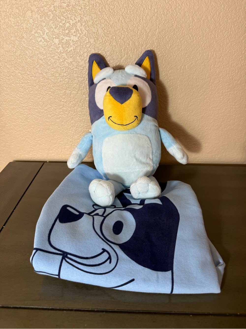 Bluey Plush & Sweatshirt Set Kids Size 5 Bundle Cute Cartoon